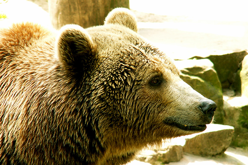 © Fotolia